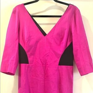 Rachel Roy Pink & Black back zippered dress